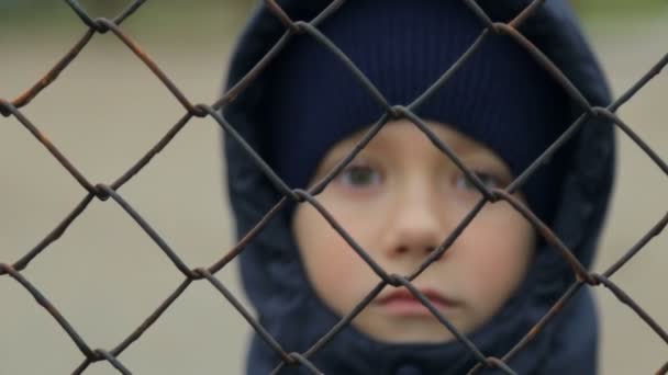 Chico Mira Cámara Través Rejilla Retrato Del Niño — Vídeos de Stock