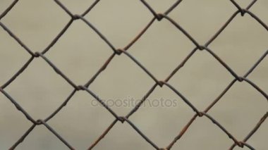 Metal kafes. Fencing.Full hd video