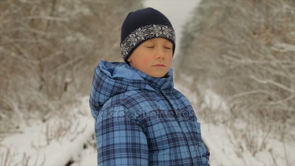 冬の森の中の少年 — ストック動画