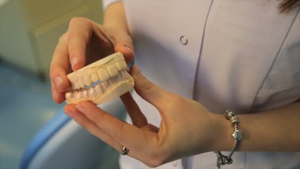 Dummy Model Hands Dentist — Stock Video