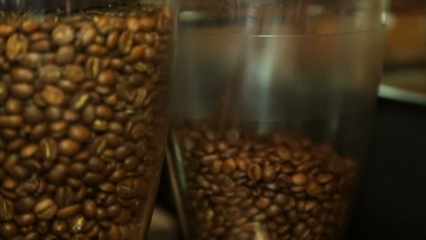 Kaffebönor Kolv Från Kaffe Kvarn — Stockvideo