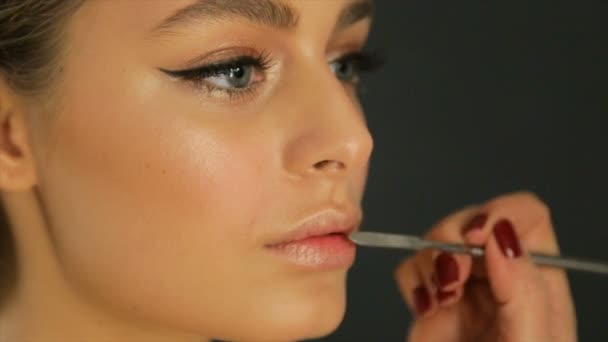 Profesjonalny Makijaż Kobiecych Warg — Wideo stockowe