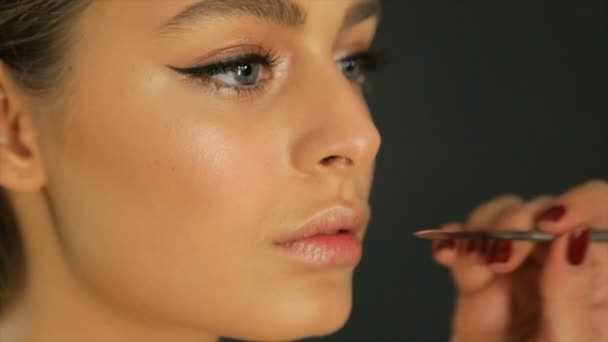 Maquiagem Profissional Lábios Femininos — Vídeo de Stock