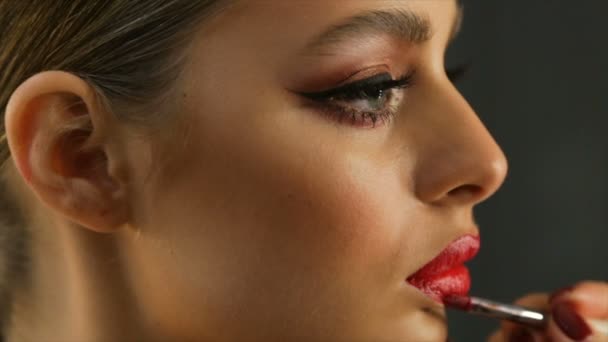 입술의 전문적 메이크업 — 비디오