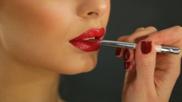 Professionele Make Van Vrouwelijke Lippen — Stockvideo