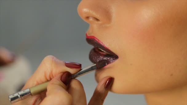 Maquiagem Profissional Lábios Femininos — Vídeo de Stock