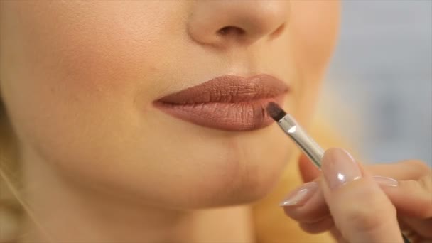 Die Visagistin legt dem Model einen leichten Lippenstift auf die Lippen — Stockvideo