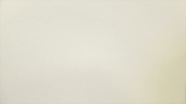 Pâtes traditionnelles françaises peintes avec éclat sur une assiette bleue 