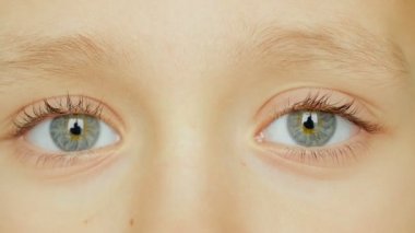 Çocuk portre, çocuk kameraya benziyor.