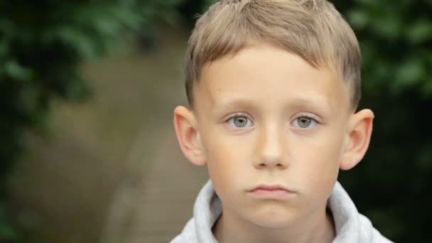 Charmant garçon, portrait.Full HD vidéo