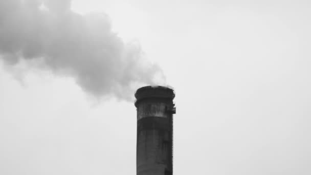 Pollution of the environment: a pipe with smoke. — Stock Video