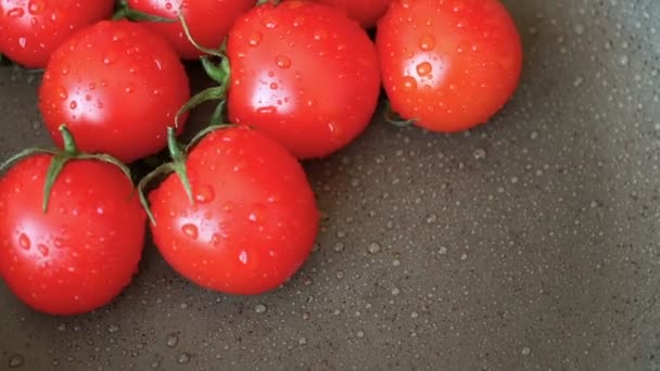 Κόκκινες ντομάτες με σταγόνες νερού — Αρχείο Βίντεο