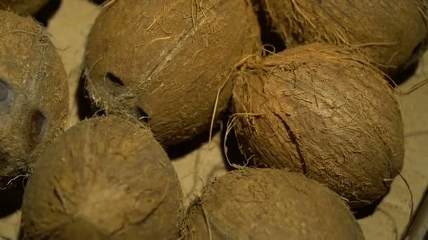 Gros plan. Noix de coco dans une boîte — Video