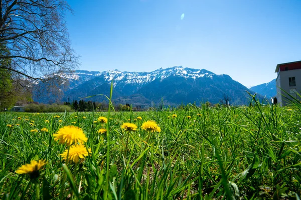 Interlaken city and Jungfrau, Switzerland — Stock Photo, Image