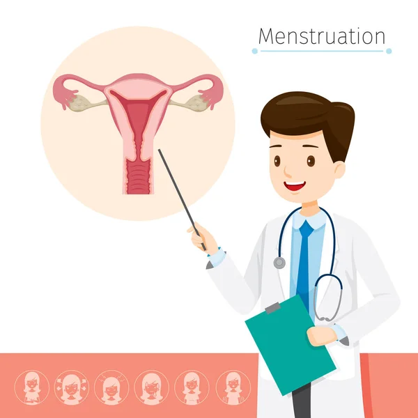 Orvos ismerteti az oka, hogy a menstruáció — Stock Vector