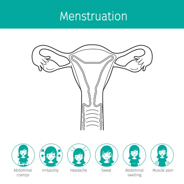 Ábra az emberi méh, a vázlat és a menstruáció tünet én — Stock Vector