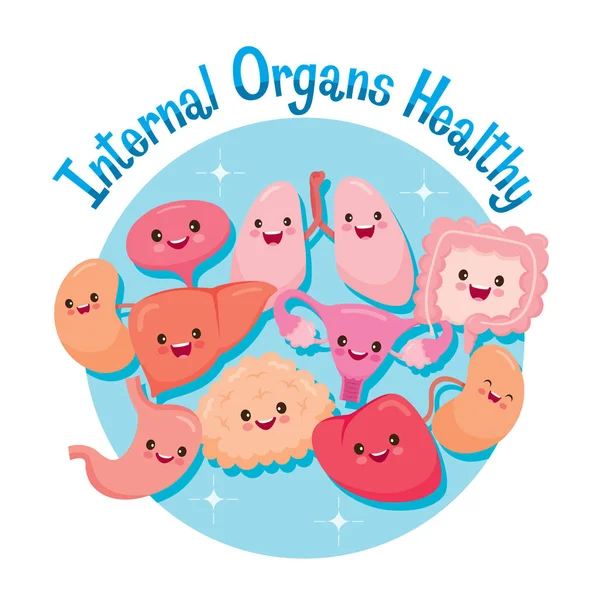 Menselijke interne organen, Cartoon Funny tekens samen — Stockvector
