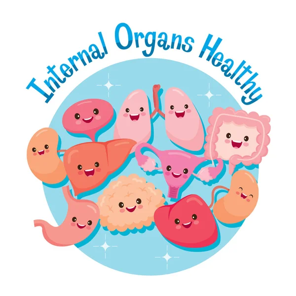 Human Internal Organs, Cartoon Characters Funny Together — Stock Illustration Human Internal Organs, Cartoon Characters Funny Together Royalty Free Stock Illustrations