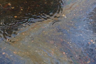 benzin asfalt yol üzerinde büyük bir çok renkli noktadan hızla ıslak ıslak asfalt üzerinde yağmur sırasında yayılır.