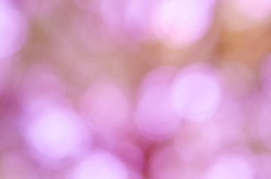 Güzel bokeh bulanık arka plan. 
