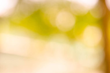 Güzel bokeh bulanık arka plan. 