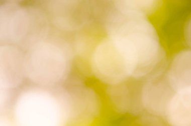 Güzel bokeh bulanık arka plan. 