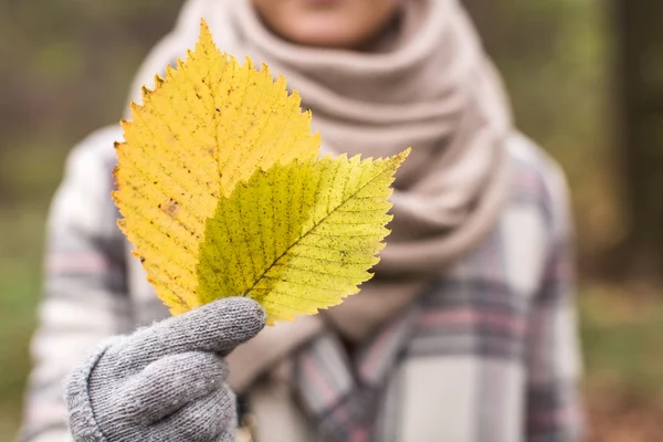 Meisje lopen in herfst bos — Stockfoto