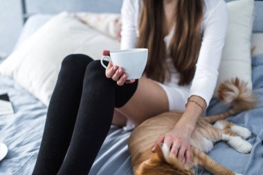 Kız bir fincan çay ile sıcak çorap ile kedi, kitap kapatın