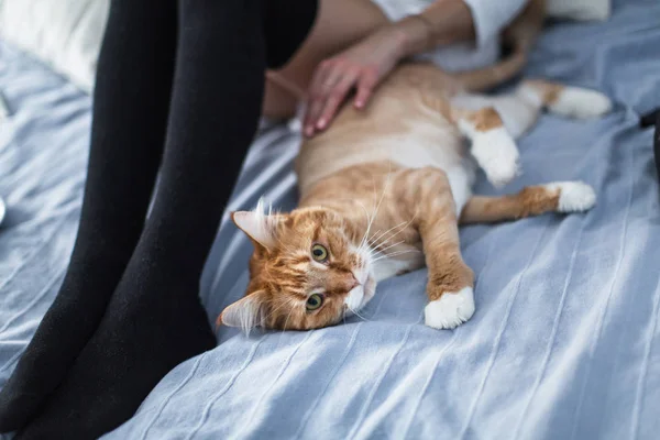 Flicka med varma strumpor med en kopp te, cat, stänga boken — Stockfoto