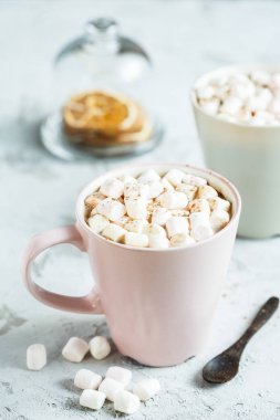 aromalı kakao marshmallows tarçın ile birlikte