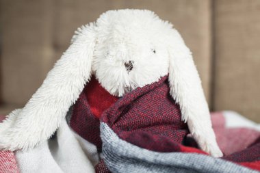 battaniyenin altında oturan oyuncak tavşan