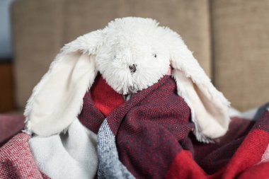 battaniyenin altında oturan oyuncak tavşan