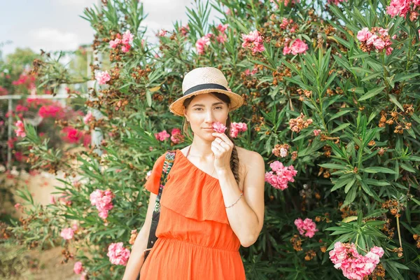 Kıbrıs pembe çiçekler, Şapkalı Kız