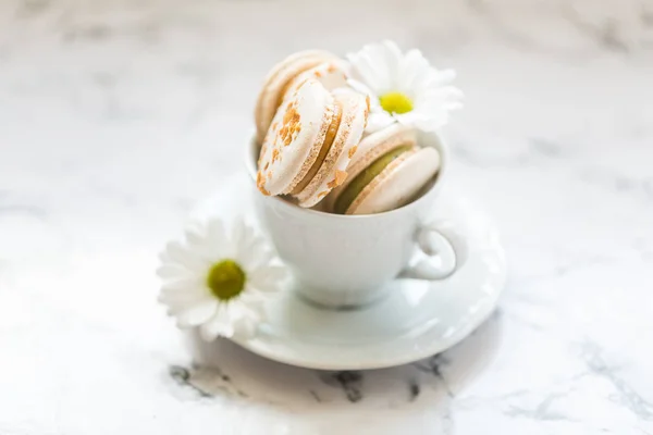 Macaroons, macaron cake in white cup with chamomile — Stock Photo, Image