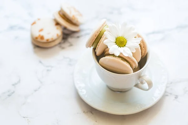 Macarrones, tarta de macaron en taza blanca con manzanilla — Foto de Stock