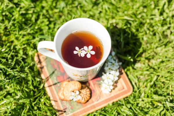 Cup of tea with bird cherry and cookies on the grass — Stock Photo, Image