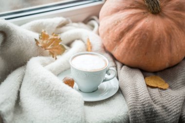 cup of cocoa and pumpkin on the windowsill in October, cozy still life