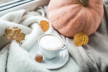cup of cocoa and pumpkin on the windowsill in October, cozy still life