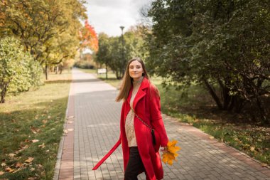 young woman on a walk in the park in autumn in fine weather