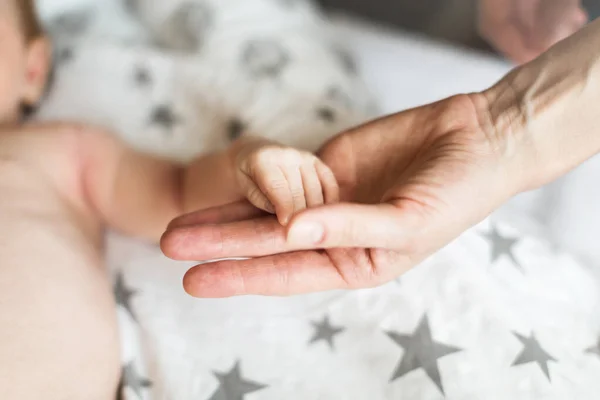 Madre Sostiene Palma Recién Nacido Los Primeros Días Vida Concepto —  Fotos de Stock
