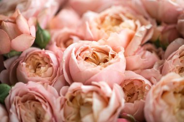 Güzel bir buket taze pembe gül, eski tarz.