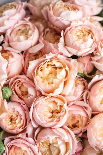 Buchet Frumos Trandafiri Roz Proaspăt Fundal Fotografie de stoc