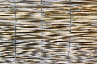 Hasır saman çiti kapat