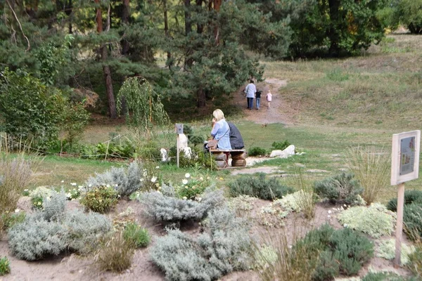 Veduta Delle Persone Che Riposano Nel Parco Cittadino Estate — Foto Stock