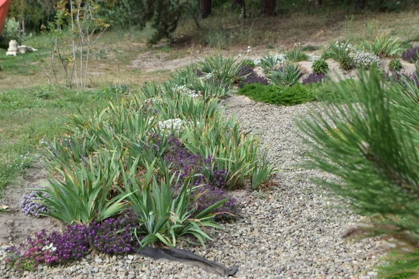 View Landscape Design City Park — Stock Photo, Image