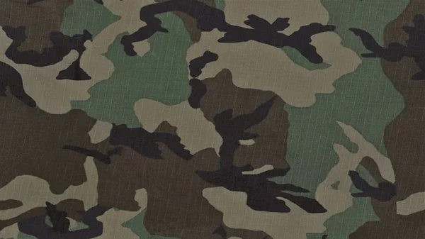map military texture wild