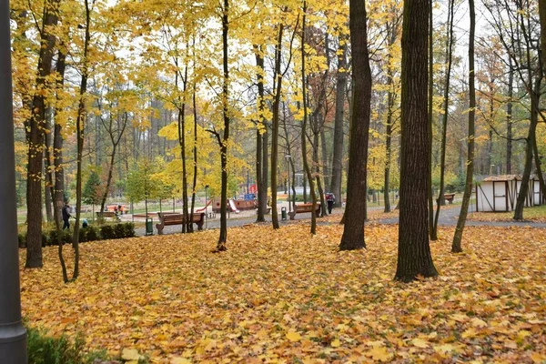 Malerischer Blick Auf Den Stadtpark Herbst — Stockfoto