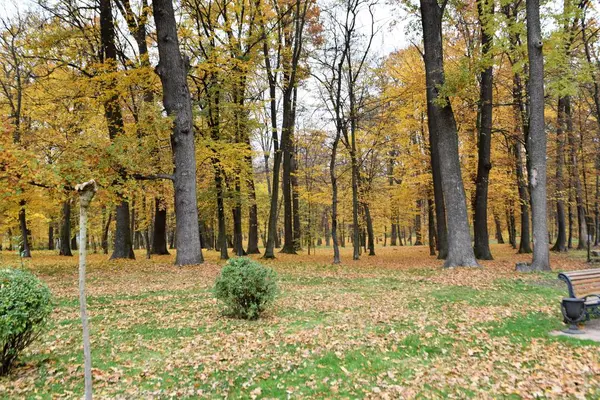 Malerischer Blick Auf Den Stadtpark Herbst — Stockfoto