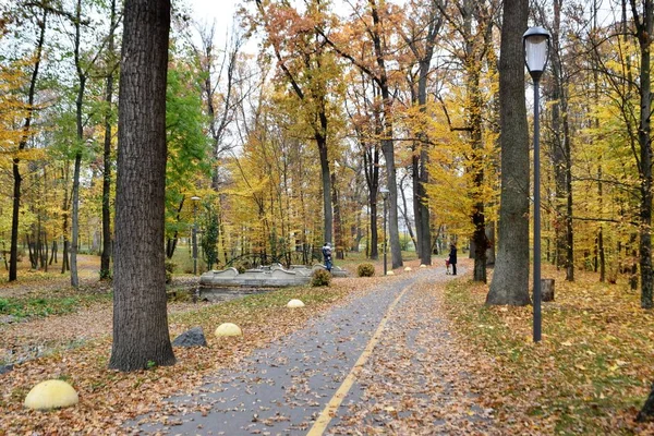 Şehir Parkı sonbahar doğal görünümünü