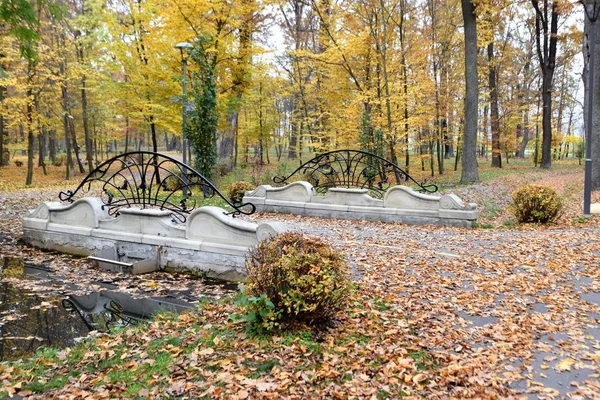 Şehir Parkı sonbahar doğal görünümünü